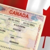 Visitor Visa – Visa du lịch Canada